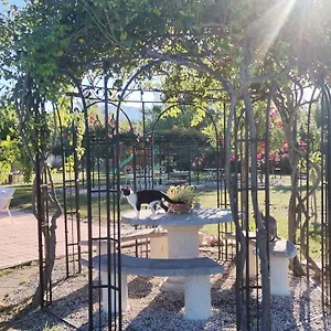 En Provence , Modene Frankrijk