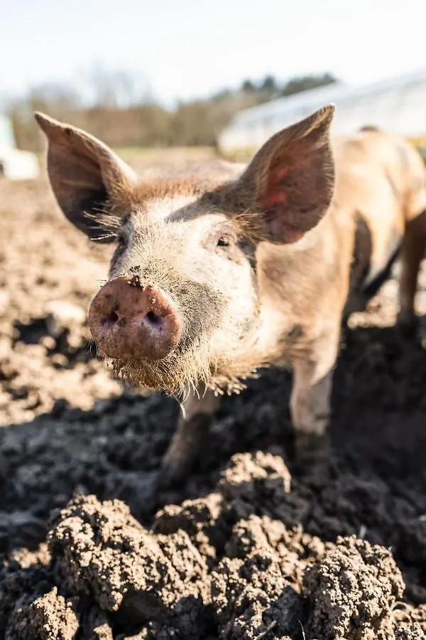 Villa Cascina Bagaggera à Rovagnate Séjour à la ferme